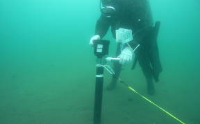 Surveys on Status and Burial Depth of Laid Submarine Cables